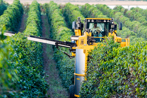 A harvesting machine in an orchard